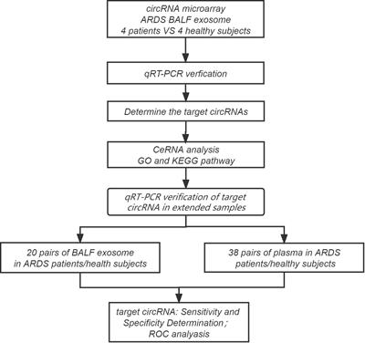 CircRNAs in BALF exosomes and plasma as diagnostic biomarkers in patients with acute respiratory distress syndrome caused by severe pneumonia